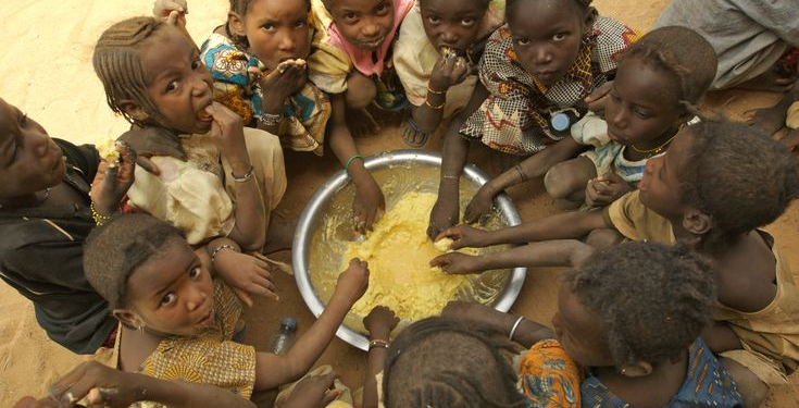 The Food Crisis To Kill More Humans Than Covid : Senegalese minister