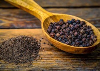 Black Pepper Market To Reach US$ 5.4 Billion By 2027