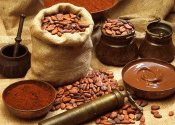 Ghana’s Niche Cocoa Company To Establish Itself In The US By January 2023