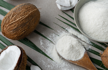 Germany: Vegan Potential is unlocked with Coconut Milk Powder