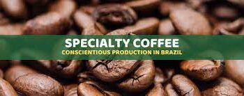 Coffee plantations in Brazil focus on Sustainability