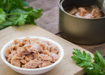 Food Tech Startup Vgarden Launches Canned Tuna Alternative