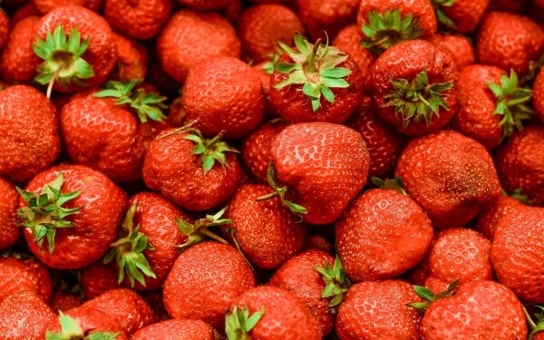 Agri-genomics firm Singrow launches first climate-resilient strawberry variety