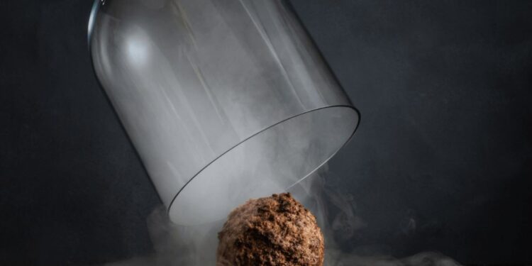 Dutch Food Tech Company Unveils Giant Meatball Made From Extinct Mammoth