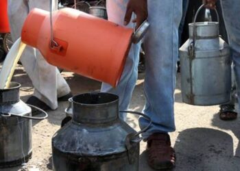 Dairy Development Board Chief Asks Indian Milk Producers Eye Export