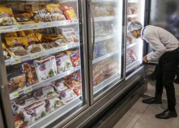 Thawing Constraints: Rethinking Supply Chains for Frozen Foods in India
