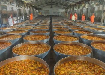 Balancing Salt and Spice: New trend in pickle manufacturing