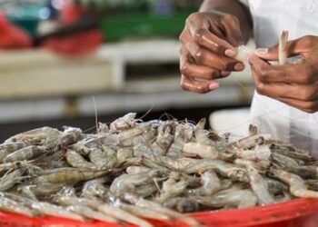 India Has Strong Framework for Seafood Units