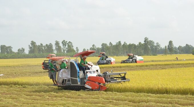 Global Food Basket in Mekong Delta