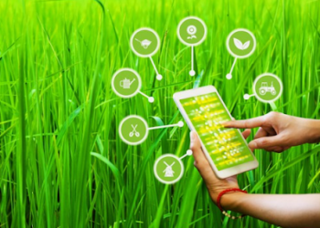 Fambo Raises Rs 21 Crore in Pre-Series to Transform food service industry with innovative solutions