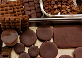 Hans Heritage Jaggery Plant Adopts Innovative SED Technology to Eliminate Furnace Emissions and Boost Farmer Incomes