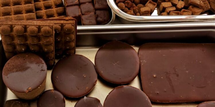 Hans Heritage Jaggery Plant Adopts Innovative SED Technology to Eliminate Furnace Emissions and Boost Farmer Incomes