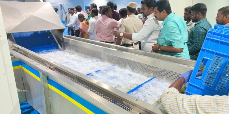 Vendum Launches IQF Vegetable Processing Centre In Tamil Nadu