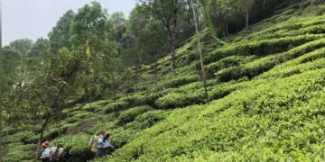 Infrastructure Boost Helping Unlock Northeast’s Tourism Potential: Report