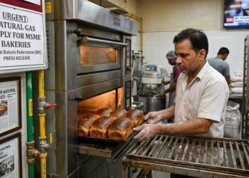 IBF Urges Petroleum Ministry to Prioritize Natural Gas for MSME Bakeries